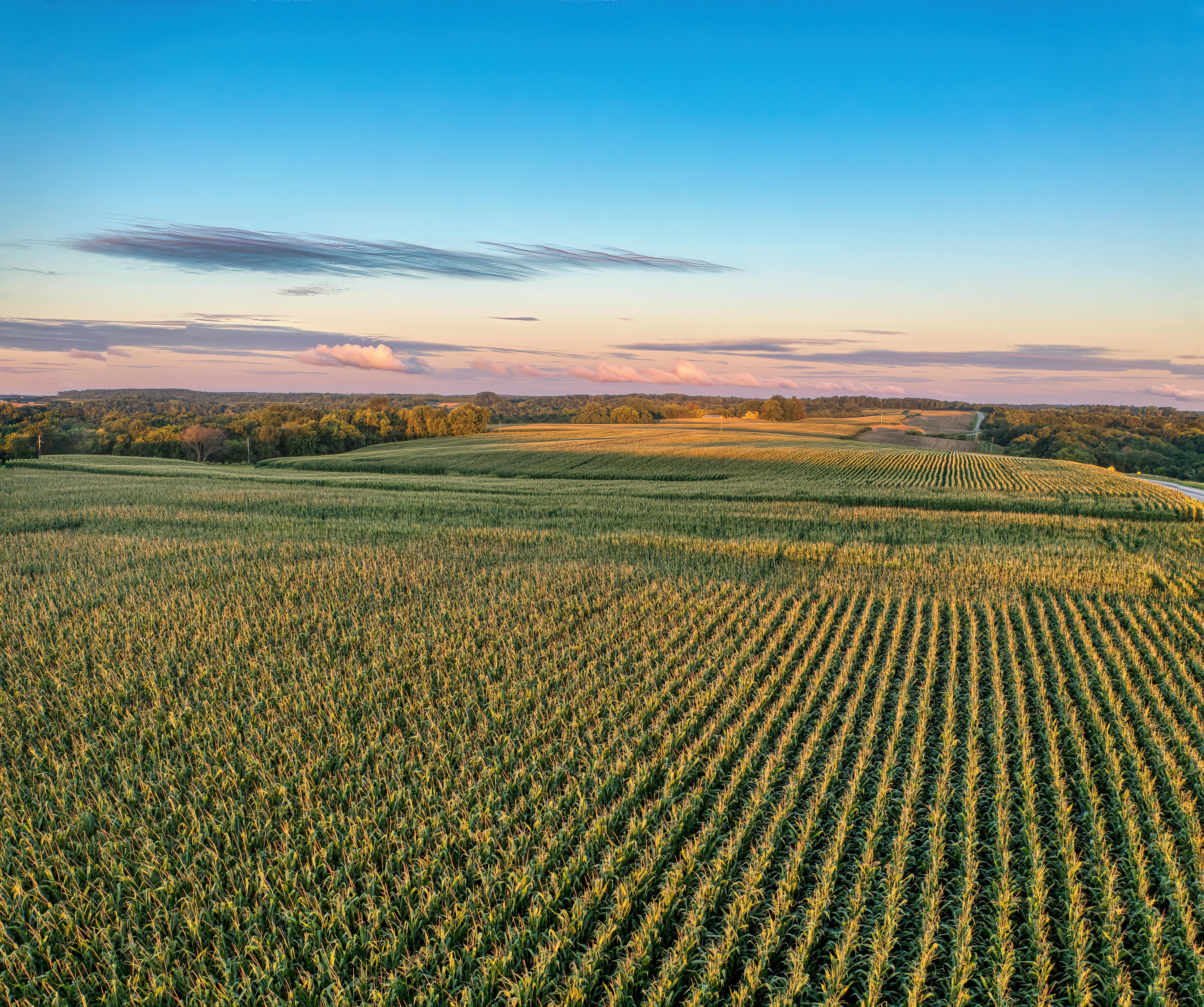 Agricultural Production